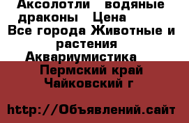 Аксолотли / водяные драконы › Цена ­ 500 - Все города Животные и растения » Аквариумистика   . Пермский край,Чайковский г.